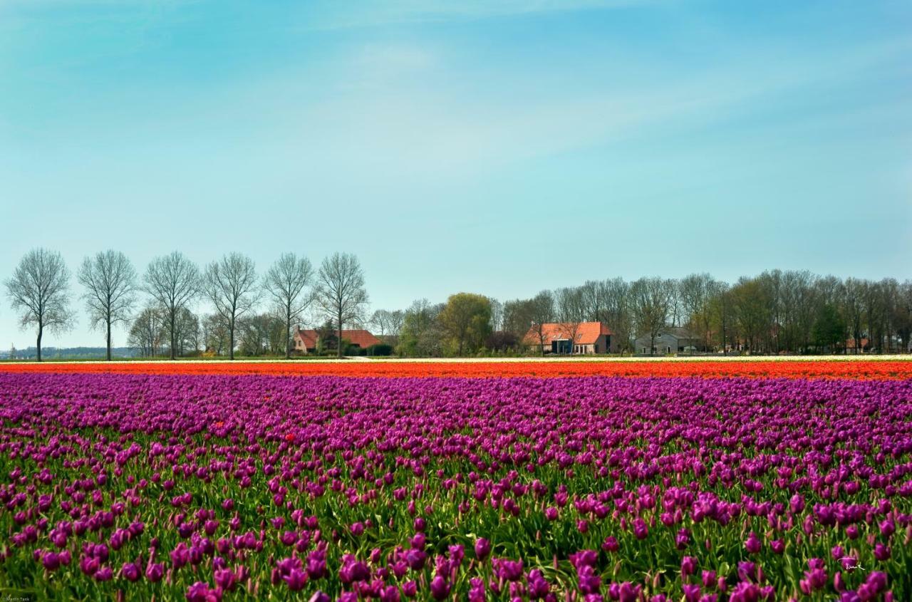 B&B De Strandhoeve Giethoorn Exterior foto